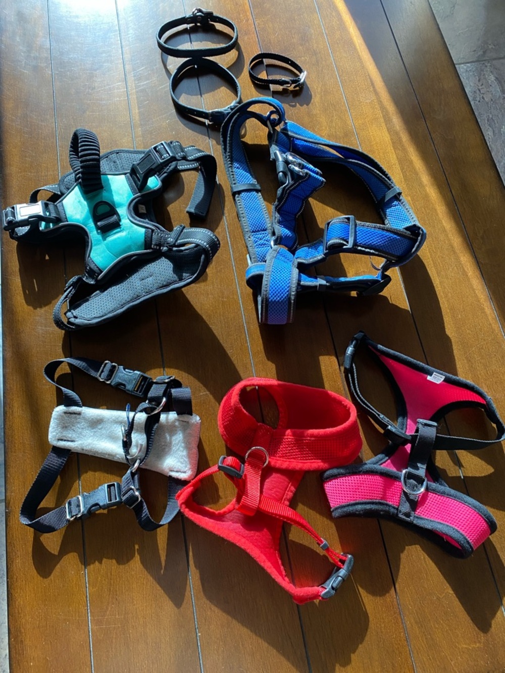 Dog Stuff All Sizes  5 No-Pull Harnesses 2 Leather Collars 1 XS Collar